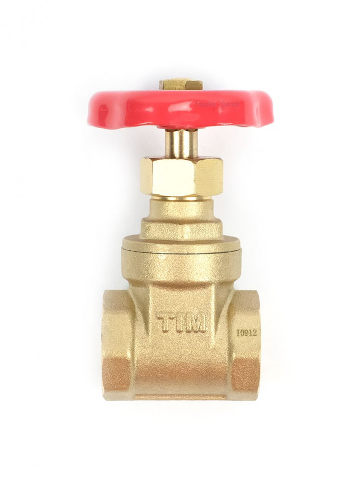 Задвижка клиновая d50 в.р. TIM (BL1817) Задвижка клиновая d50 в.р. TIM (BL1817)